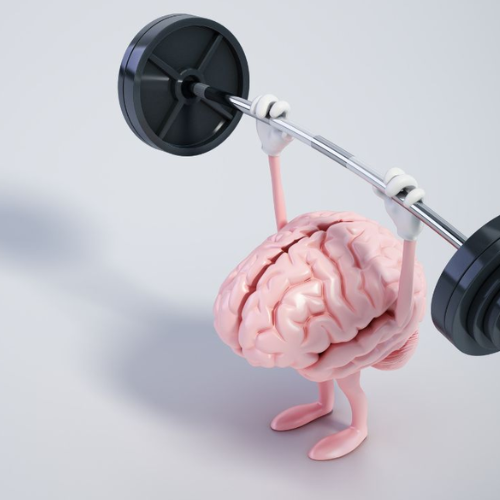 Melhore seu desempenho cognitivo com Neurofeedback